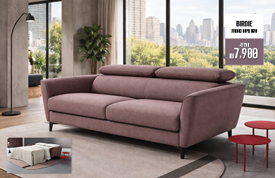 ספה נפתחת למיטה - BIRDIE